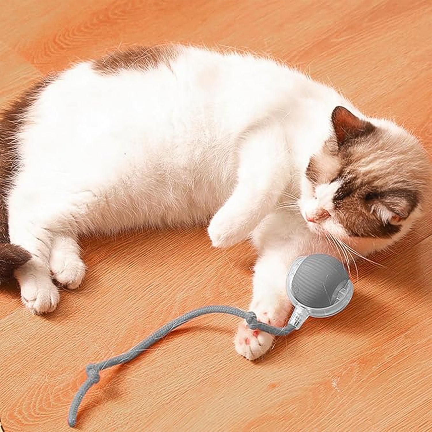 Twinkle Pounce Smart Ball Twinkle Pounce Smart Ball